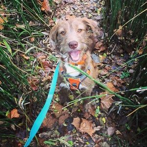 Meet your Posher, Andrew